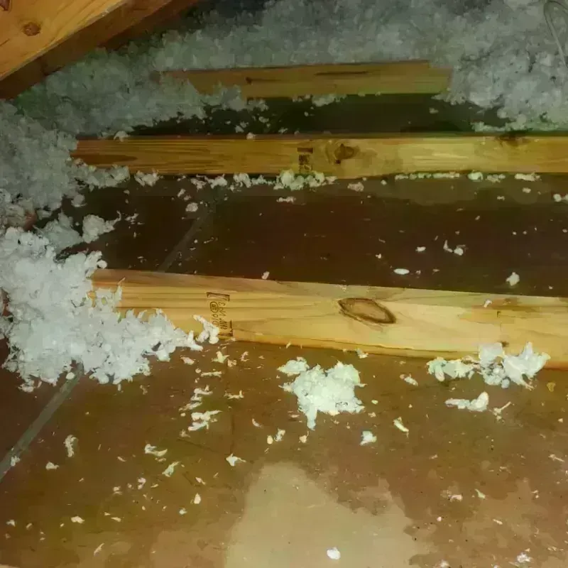 Attic Water Damage in Easthampton, MA